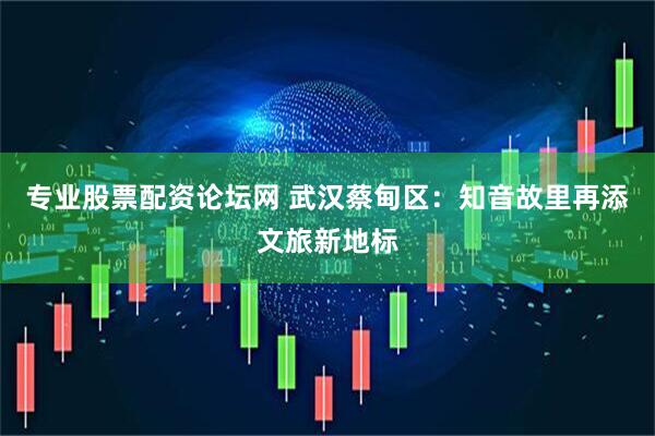 专业股票配资论坛网 武汉蔡甸区：知音故里再添文旅新地标