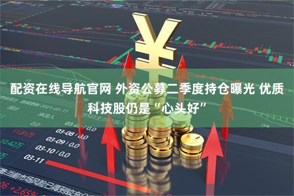 配资在线导航官网 外资公募二季度持仓曝光 优质科技股仍是“心头好”