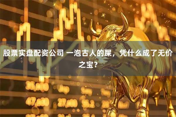 股票实盘配资公司 一泡古人的屎,凭什么成了无价之宝?